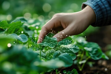 Integrated pest management system using technology to detect and control pests.