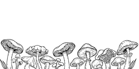 Vector illustration, cordon with mushrooms. Mushrooms painted in vintage style. Doodle style.