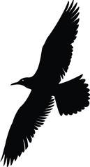 Elegant Flying Birds Silhouettes on White Background 
