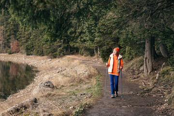 Obraz premium Hiker walking using trekking poles along forest trail near lake in autumn