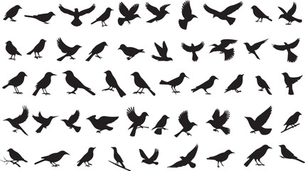 Birds vector set  silhouettes style with transparent background bird flying vector silhouette collection set 