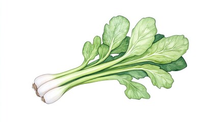 Obraz premium Fresh green vegetables with vibrant leaves and white roots, isolated on a clean background for culinary use