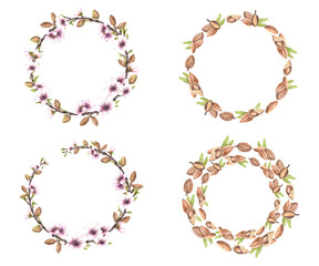 Almond nuts and spring tree blooming branch with leaves and flowers wreaths set. Botanical circle frame. Watercolor illustration hand drawn. template for food, cosmetic label Isolated from background 