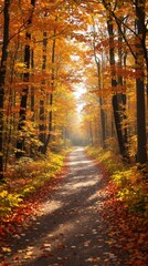 Fototapeta premium Blurred background of a forest path in autumn, forest path, seasonal change, blurred edges, tree bark, autumn leaves