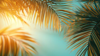 Intricate palm leaves backlit by warm sunlight on soft blue gradient