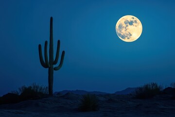 Minimalist desert scene with a single cactus silhouetted against a full moon, with the stark contrasts creating a dramatic and striking image