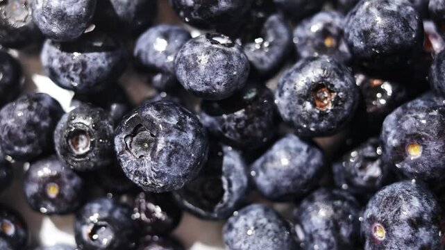 Close-up of dried blueberries with a dark, wrinkled texture and rich color. Natural products, healthy eating.