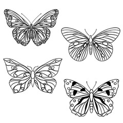 Line art butterfly, Layout for printing illustrations on T-shirts, notepads, covers