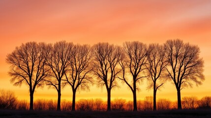 Obraz premium A row of bare trees silhouetted against a glowing orange and yellow sunset sky, creating a peaceful and balanced composition