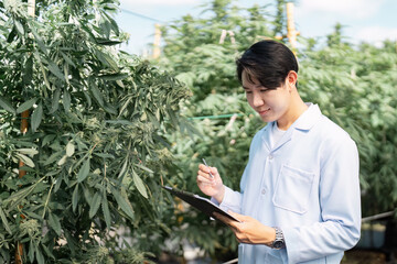 Scientist documenting cannabis plant observations in a greenhouse setting.