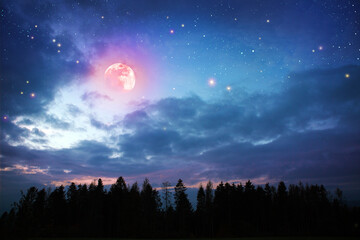 Full moon with stars at colorful night sky and fir trees.