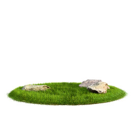 Isolated stone with Green Leaves on PNG