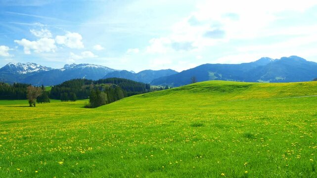 A Tranquil Spring Landscape in Bavaria, Where Expansive Green Meadows and Blooming Wildflowers Create a Calm, Picturesque Scene in Southern Germany&rsquo;s Heartland