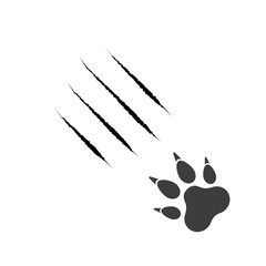 Cat scratch. Pets or wild animal claw marks isolated on white background. Lion or tiger scratch marks. Vector Black cat foot print. Wild beast paw marks with sharp fissures texture.