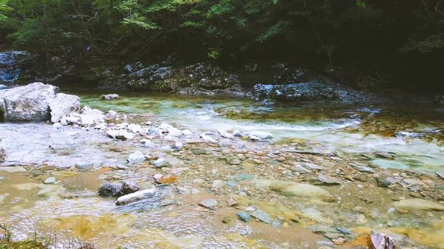 Serene water flow landscape, stone river below natural green mountain valley at Japan