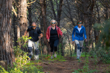 A group of senior friends with hiking sticks walking in the woods, doing Scandinavian walking for...