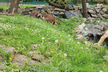 Impressionen aus einem Tierpark in Nordrhein-Westfalen	