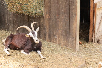 Impressionen aus einem Tierpark in Nordrhein-Westfalen	