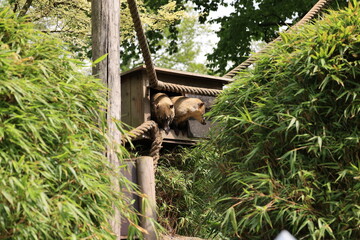 Impressionen aus einem Tierpark in Nordrhein-Westfalen	