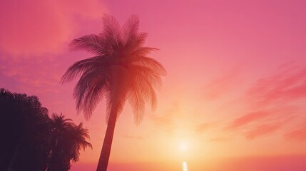 Obraz premium Pink Sunset Paradise: Palm Trees Silhouetted Against Vibrant Sky