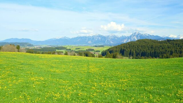 Countryside Tranquility in the Bavarian Spring