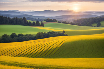 Obraz premium Peaceful countryside landscape with rolling hills