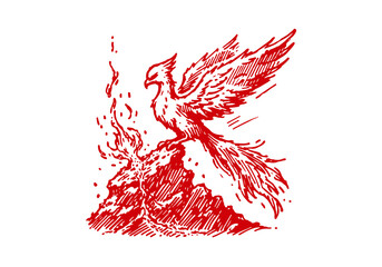 Phoenix flaming bird hand drawn sketch vector
