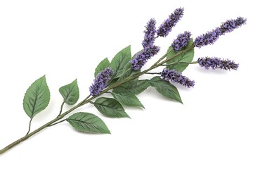 Delicate Lavender Sprig: Purple Floral Beauty, Botanical Illustration, Nature's Elegance, Fragrant  