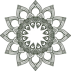 Beautiful flower art and mandala vector design