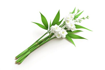 Fototapeta premium Fresh Bai Jia Lia 3 Herbs: A Vibrant Bunch Isolated on Pure White Background, Perfect for Culinary 
