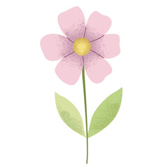 Spring summer flower in watercolor style. Delicate hand drawn pink daisy.