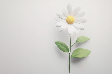 Pure White Daisy Bloom: Photorealistic, Isolated on White Background. Perfect for designs, websites,