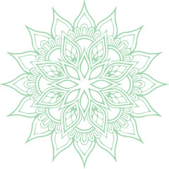 Beautiful flower art and mandala vector design