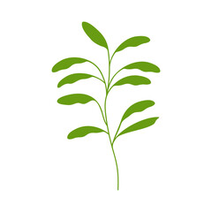 Vector leaf pattern, black line art background. Boho leaf illustration