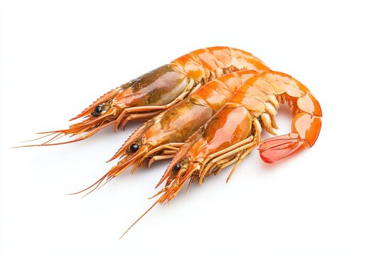 Fresh and vibrant langustine presented on a clean white background with stunning detail and realistic lighting