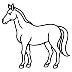 horse line art vector