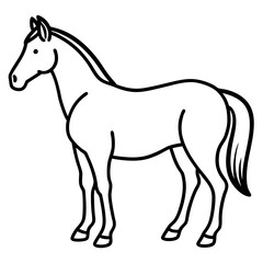 horse line art vector