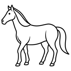 horse line art vector