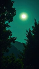 Fototapeta premium Dense foliage silhouetted against a moonlit sky, green, night, darkness