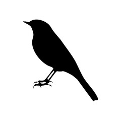 Silhouette of a Great Tit bird in vector format.