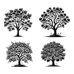 Vector Detailed Black Silhouette of the Crepe Myrtle Tree on White Background"
