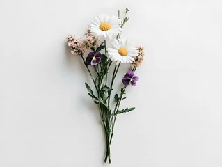 a small bouquet with two daisies and two violets, long stem in a white background