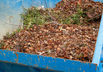 Container with leaves and green waste in autumn