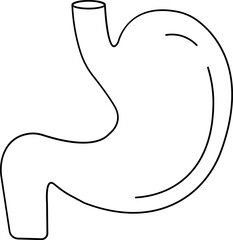 Human Stomach line icon. Gastric organ, digestive stomach illustration sign. Human body related internal organ. Anatomical stomach symbol on isolated transparent background. Human anatomy.