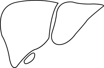 Human liver organ line icon, showing various health and medicine concepts designs, Human body related internal organ. Anatomical liver symbol on isolated transparent background. Human anatomy.