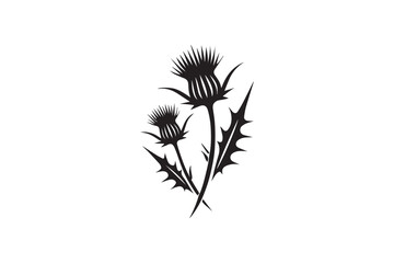 simple and subtle vector silhouette of thistle  in black and white, set against a white background. 