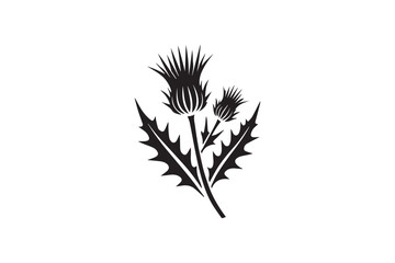 simple and subtle vector silhouette of thistle  in black and white, set against a white background. 