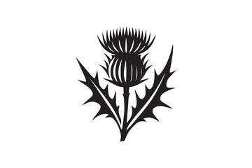 simple and subtle vector silhouette of thistle  in black and white, set against a white background. 