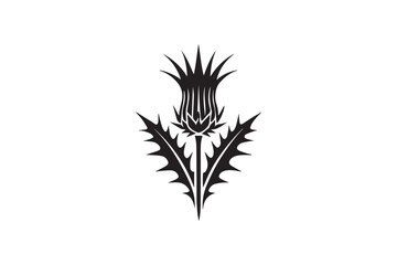 simple and subtle vector silhouette of thistle  in black and white, set against a white background. 