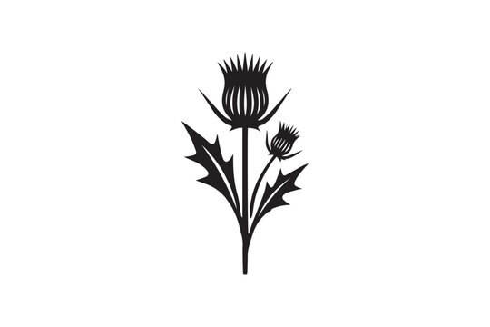 simple and subtle vector silhouette of thistle  in black and white, set against a white background. 
